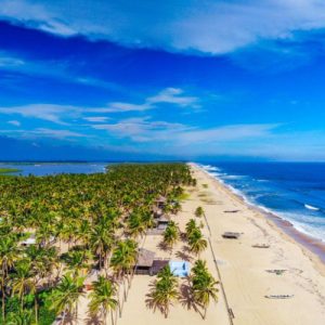 AfroJolly New Year Jollification